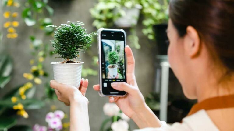 Best Plant Identification Apps for Mobile in 2023, Tested by Our Editors